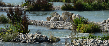 Umgehungsgewässer am Wasserkraftwerk Rheinfelden