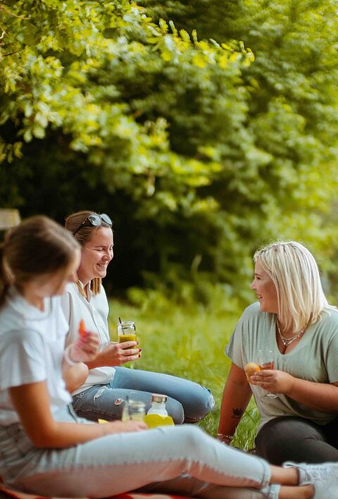 Das Bild zeigt mehrere Menschen bei einem Picknick. Im Hintergrund ist ein See zu sehen. Sie sitzen auf einer Decke auf dem Boden und unterhalten sich. 