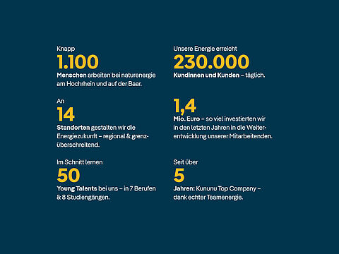 Infografik mit Unternehmenszahlen: 1.100 Mitarbeitende, 230.000 Kundinnen und Kunden, 14 Standorte, 1,4 Mio. Euro Investitionen in Weiterbildung, 50 Young Talents und über 5 Jahre Kununu Top Company.
