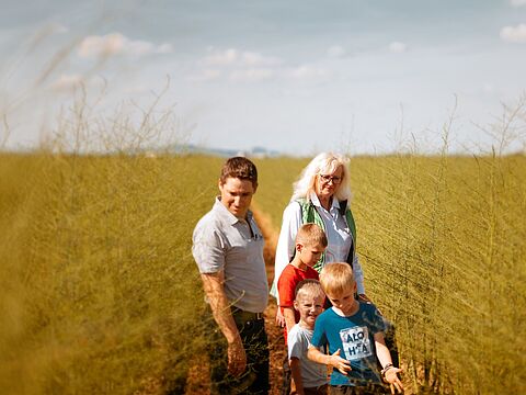 Fünf Personen gehen auf einem Pfad durch ein bewachsenes Feld