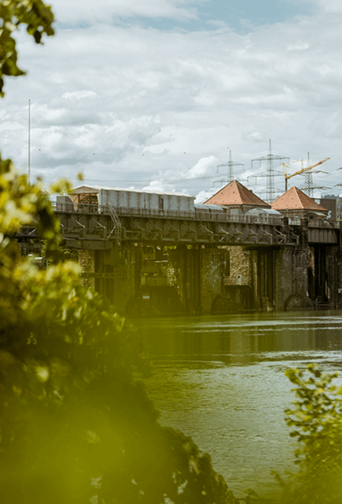 Wasserkraftwerk am Rhein mit Pflanzen im Vordergrund