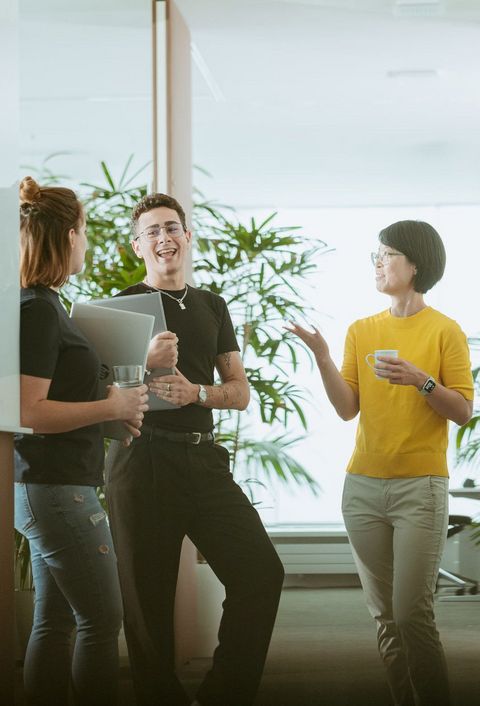 Das Bild zeigt drei Personen, die sich unterhalten. Die Personen stehen in einem Büro im Hintergrund sind Schreibtische und Pflanzen zu sehen. 