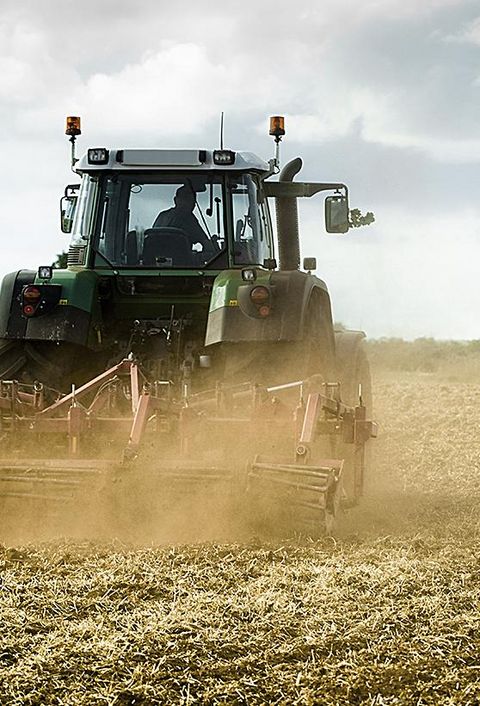 Ein Traktor aus der Landwirtschaft mit Pflug bei der Feldarbeit bei schönem Wetter.