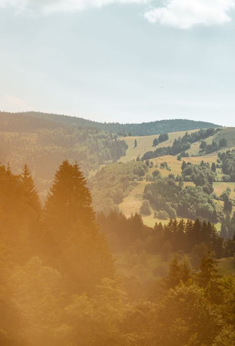Eine malerische Landschaft in den Hügeln des Schwarzwaldes, umgeben von dichten Wäldern und grünen Feldern unter einem bewölkten Himmel
