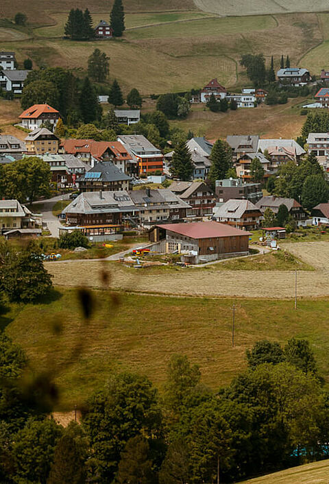 malerische Dorflandschaft des Wiesentals mit zahlreichen Häusern, die sich über sanfte Hügel erstrecken. Die Häuser sind von grünen Wiesen und Bäumen umgeben. Im Vordergrund sind einige Kühe auf einer Weide zu sehen. Der Himmel ist bewölkt
