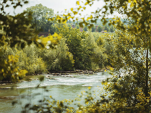 Ein ruhiger Fluss, umgeben von dichtem grünen Wald und Bäumen. Das Wasser fließt sanft über Steine und durch die Vegetation.