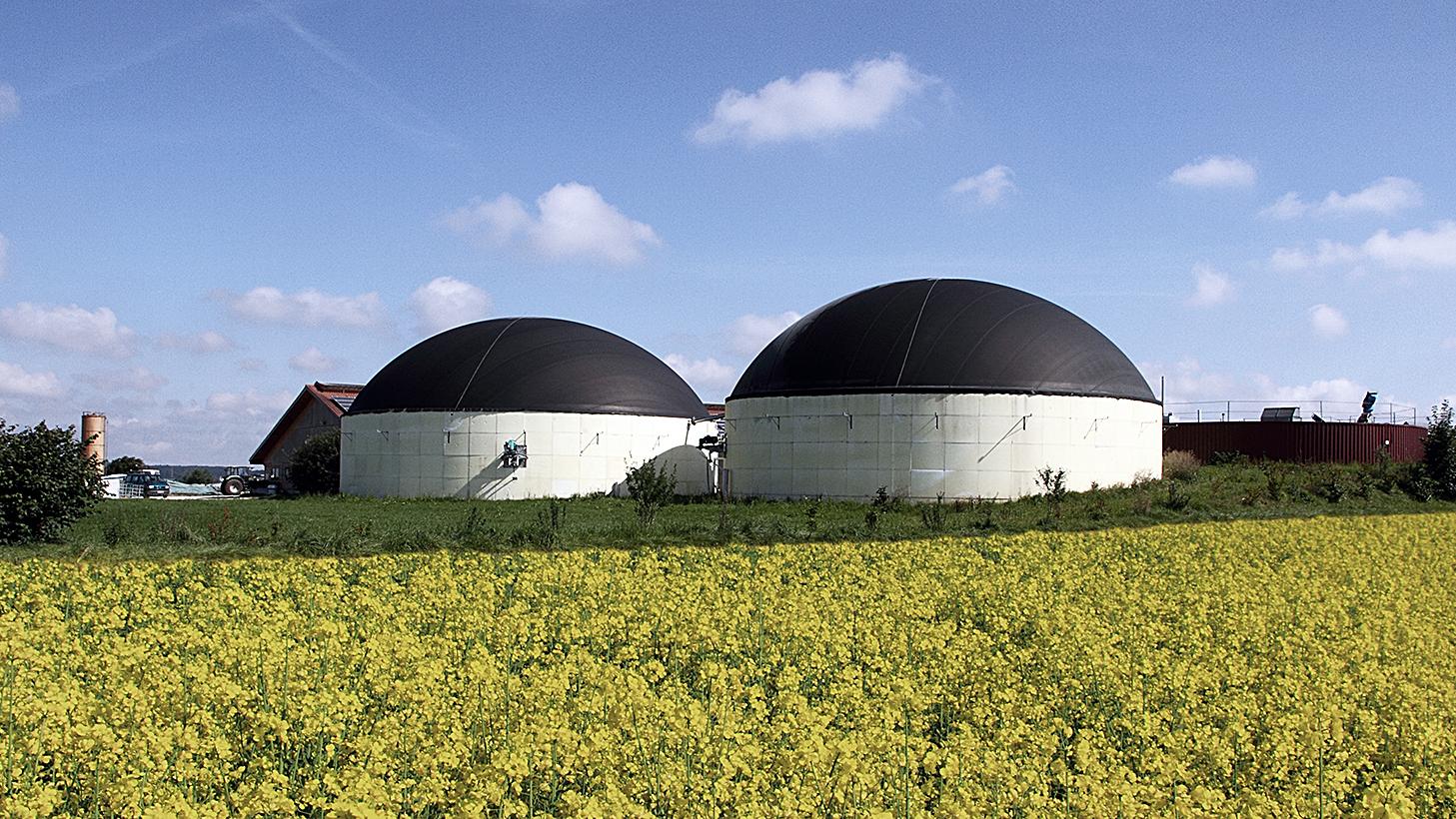 Biogasanlage auf einem Rapsfeld bei gutem Wetter und blauem Himmel