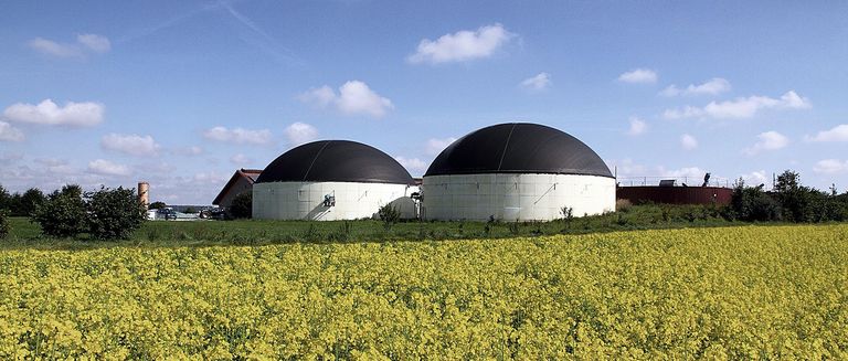 Biogasanlage auf einem Rapsfeld bei gutem Wetter und blauem Himmel